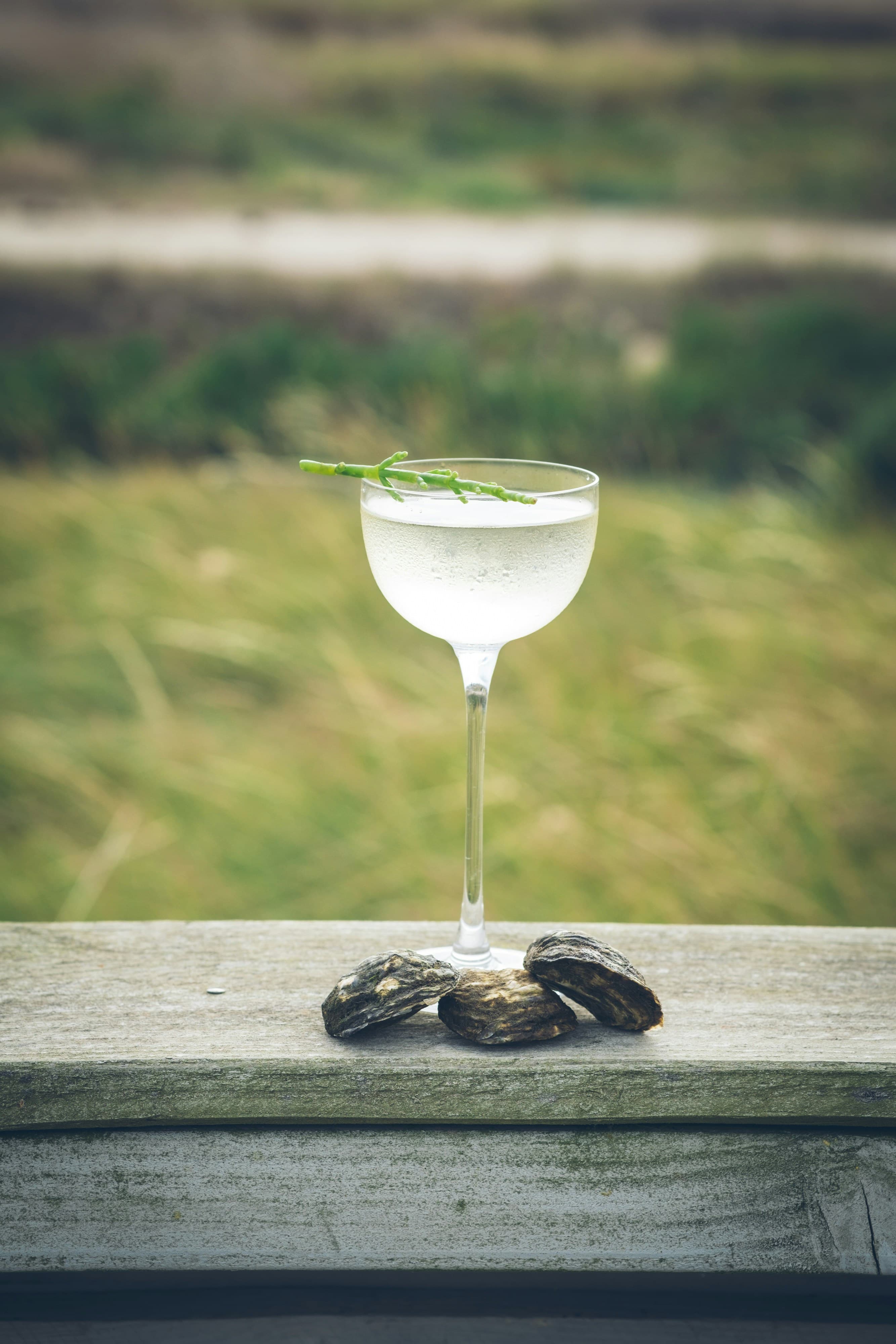Dry Martini